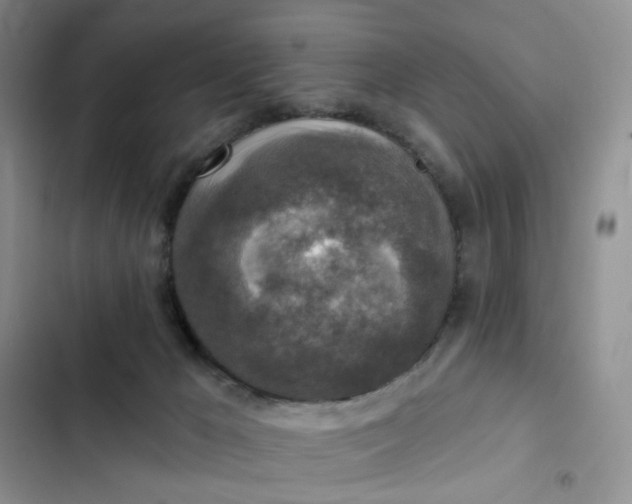 X0000102500029200808221804