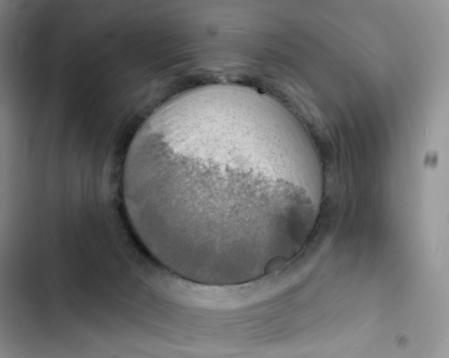 X0000102500030200808221804