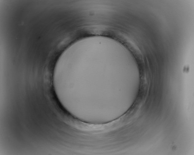 X0000102500031200808221804