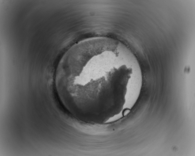 X0000102500032200808221804