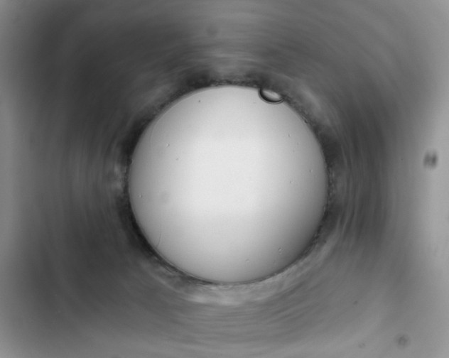 X0000102500033200808221804