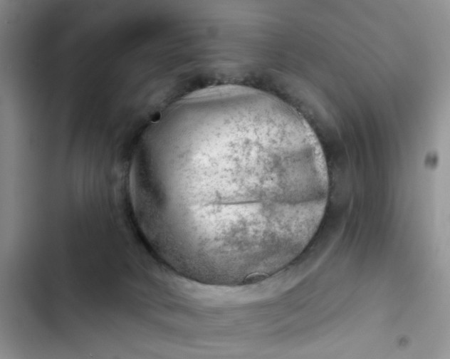 X0000102500034200808221804