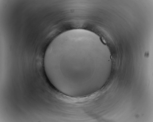 X0000102500035200808221804