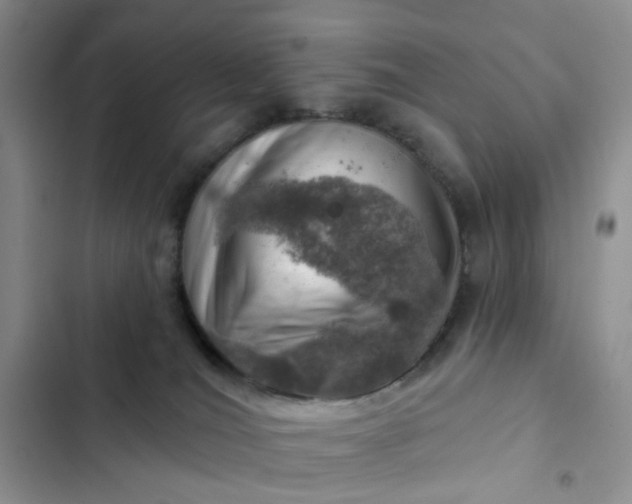 X0000102500036200808221804