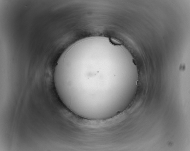 X0000102500037200808221804