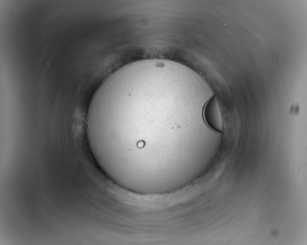 X0000102500038200808221804