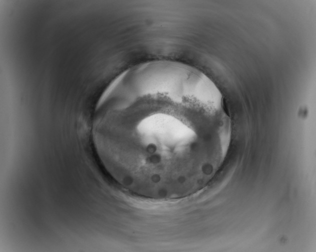 X0000102500040200808221804