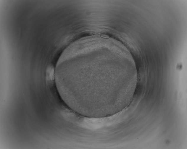 X0000102500041200808221804