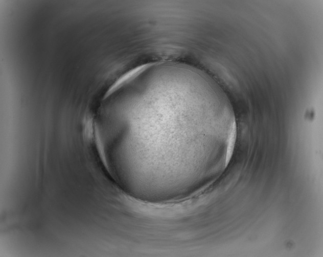 X0000102500042200808221804