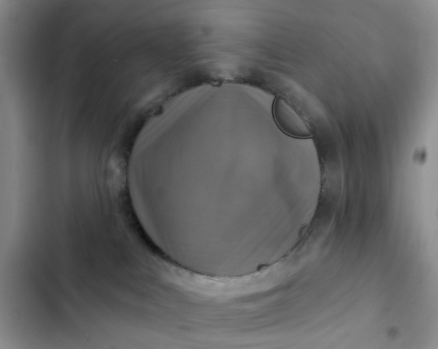 X0000102500043200808221804