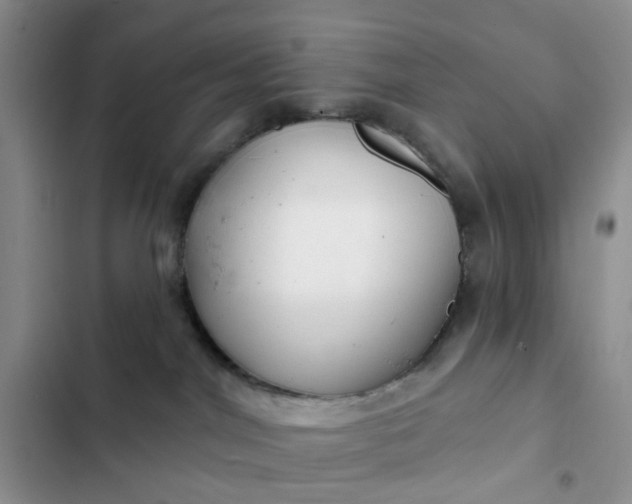 X0000102500044200808221804