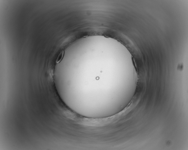 X0000102500045200808221804