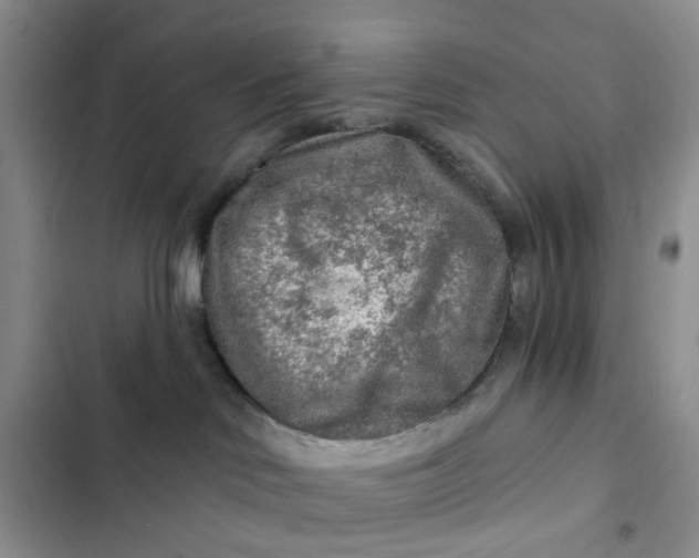 X0000102500046200808221804