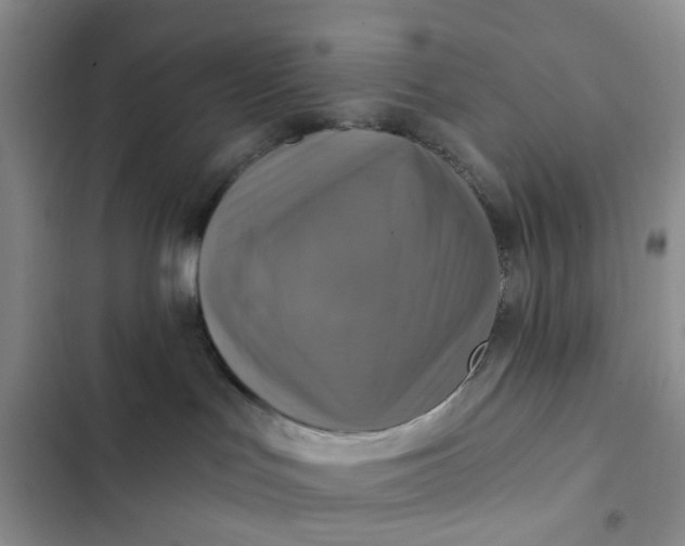 X0000102500047200808221804