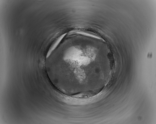 X0000102500048200808221804