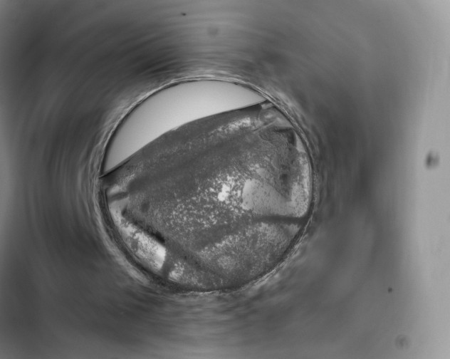 X0000102500049200808221803