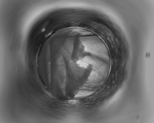 X0000102500050200808221803