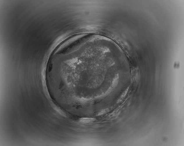 X0000102500051200808221803