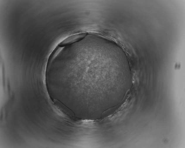 X0000102500052200808221803