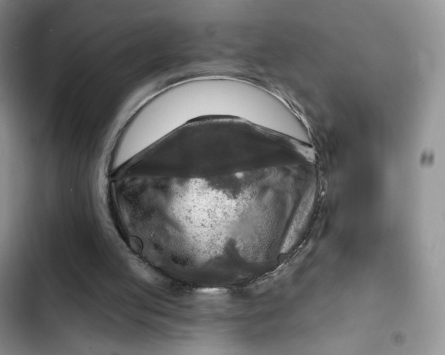 X0000102500053200808221803