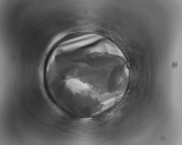 X0000102500054200808221803