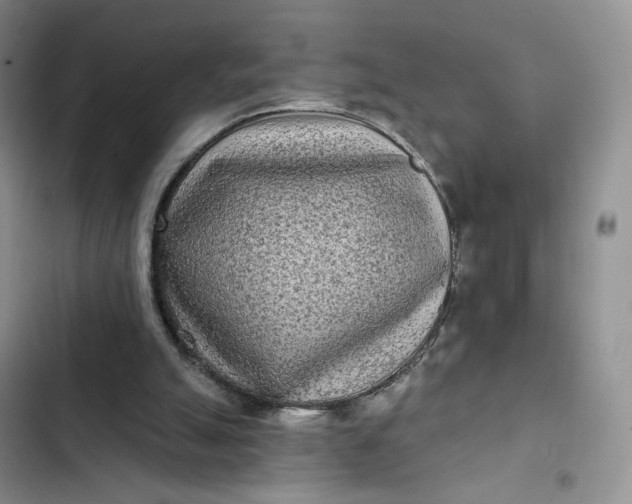 X0000102500055200808221803