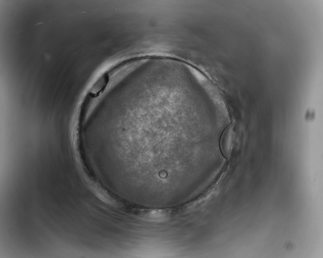 X0000102500056200808221803