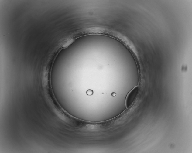 X0000102500057200808221803