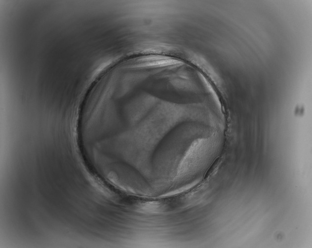 X0000102500058200808221803