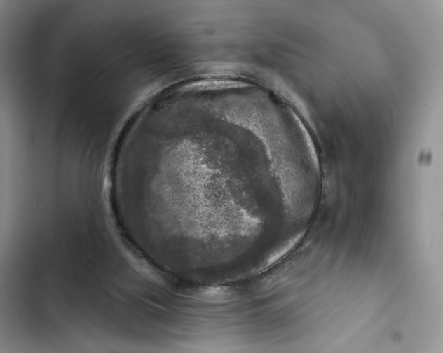 X0000102500059200808221803