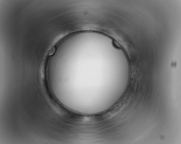 X0000102500060200808221803