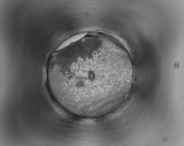 X0000102500061200808221803