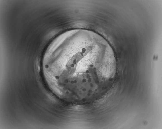 X0000102500062200808221803