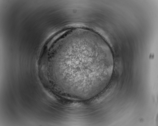 X0000102500063200808221803