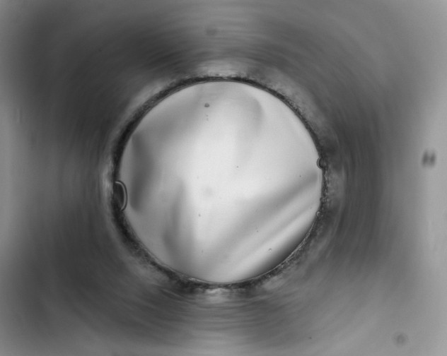 X0000102500064200808221803