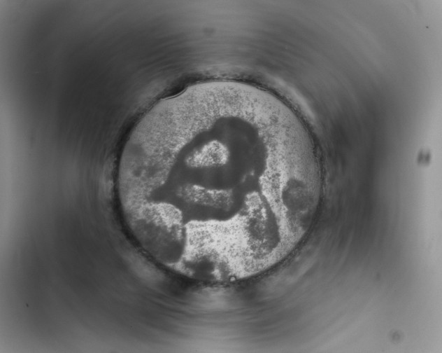 X0000102500065200808221803