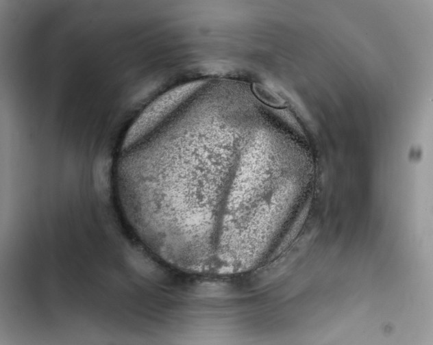 X0000102500066200808221804