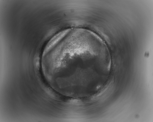 X0000102500067200808221804