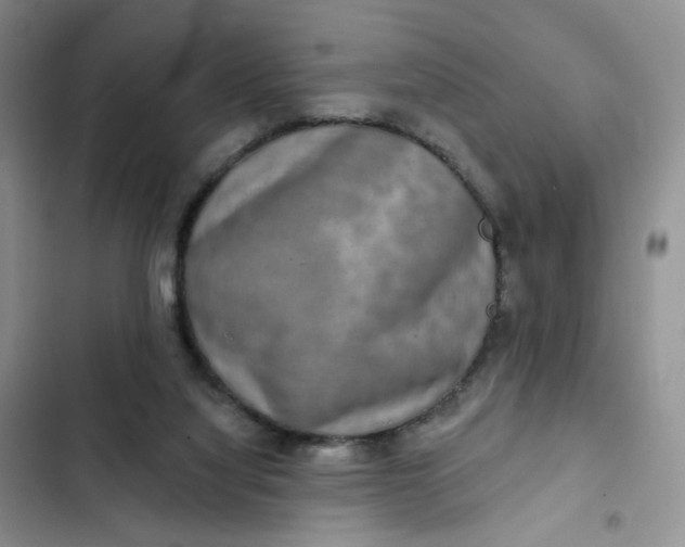 X0000102500068200808221804