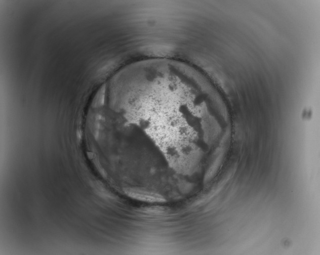 X0000102500069200808221804