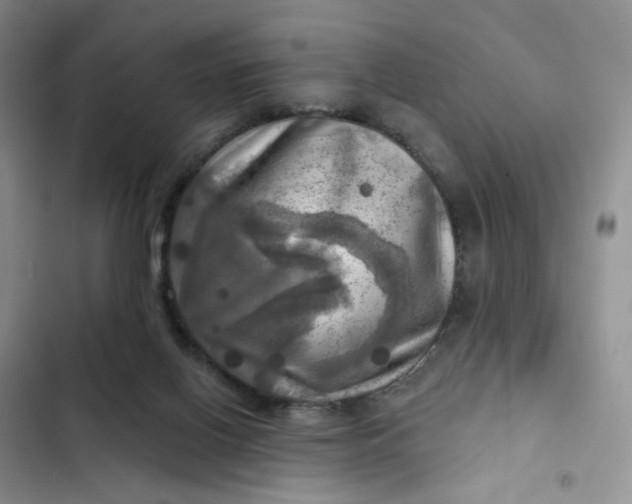 X0000102500070200808221804