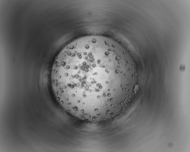 X0000102500071200808221804