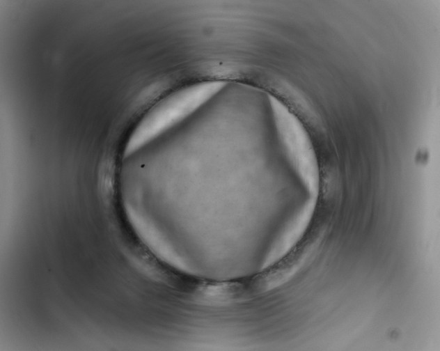 X0000102500072200808221804