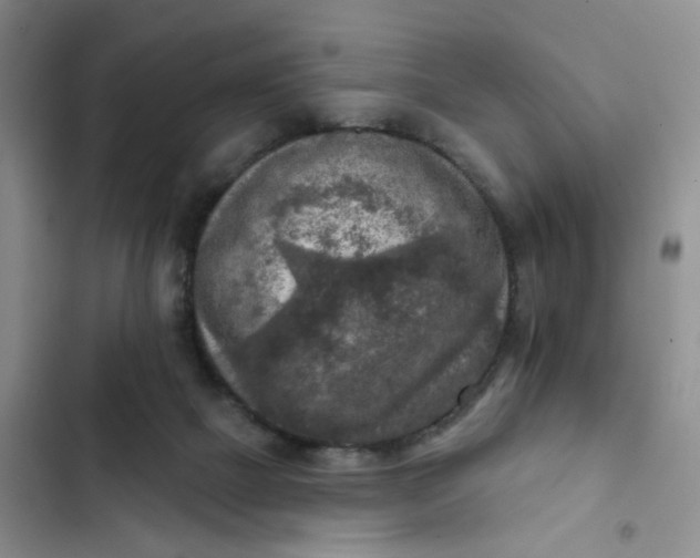 X0000102500073200808221804