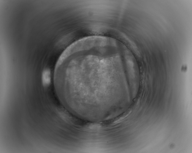 X0000102500075200808221804