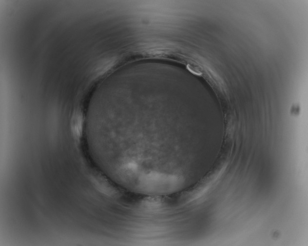 X0000102500076200808221804