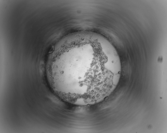 X0000102500077200808221804