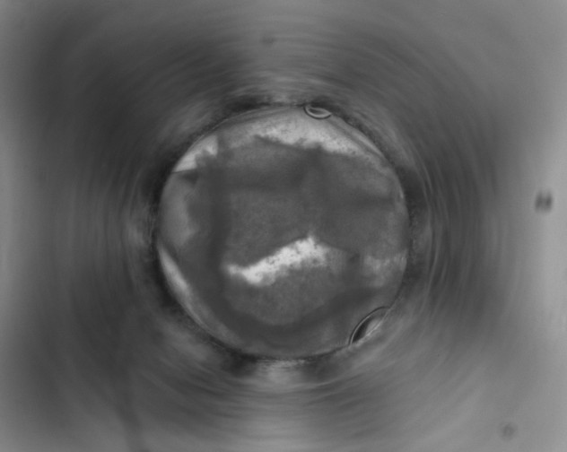 X0000102500078200808221804