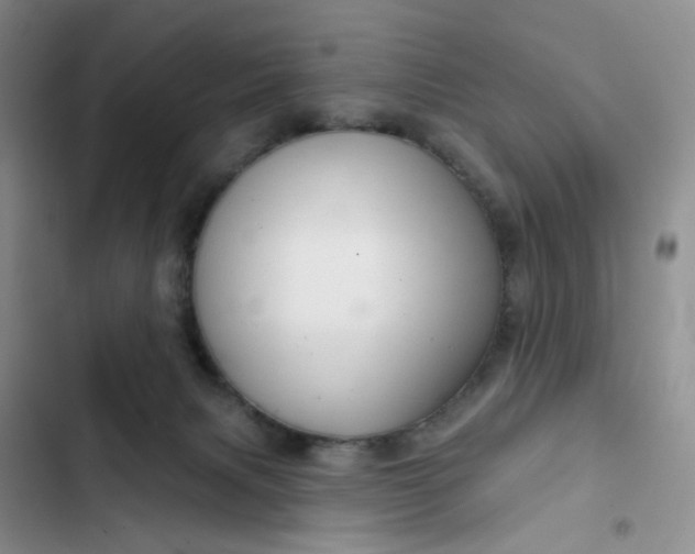 X0000102500079200808221804