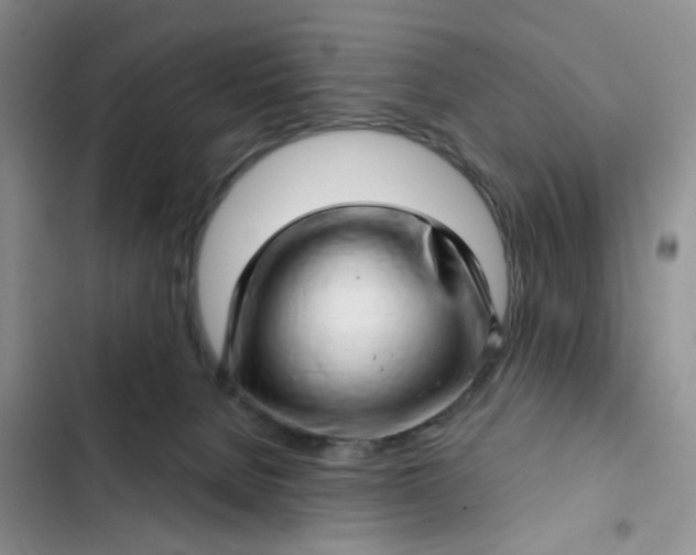 X0000102500080200808221804